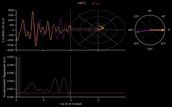 Results Visualization
